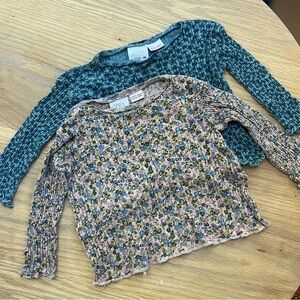 Zara toddler 12-18 mo floral shirt lot